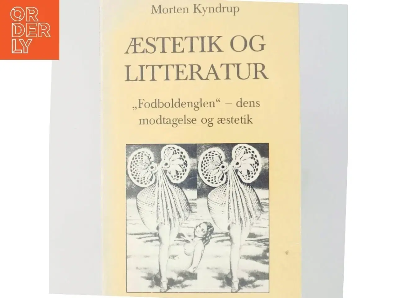 Billede 6 - Morten Kyndrup: Æstetik og litteratur