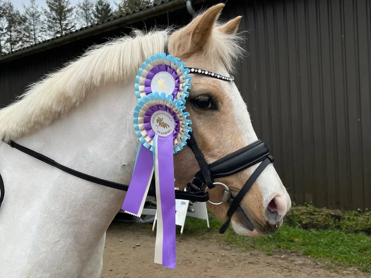 Billede 8 - Super dejlig 2’er