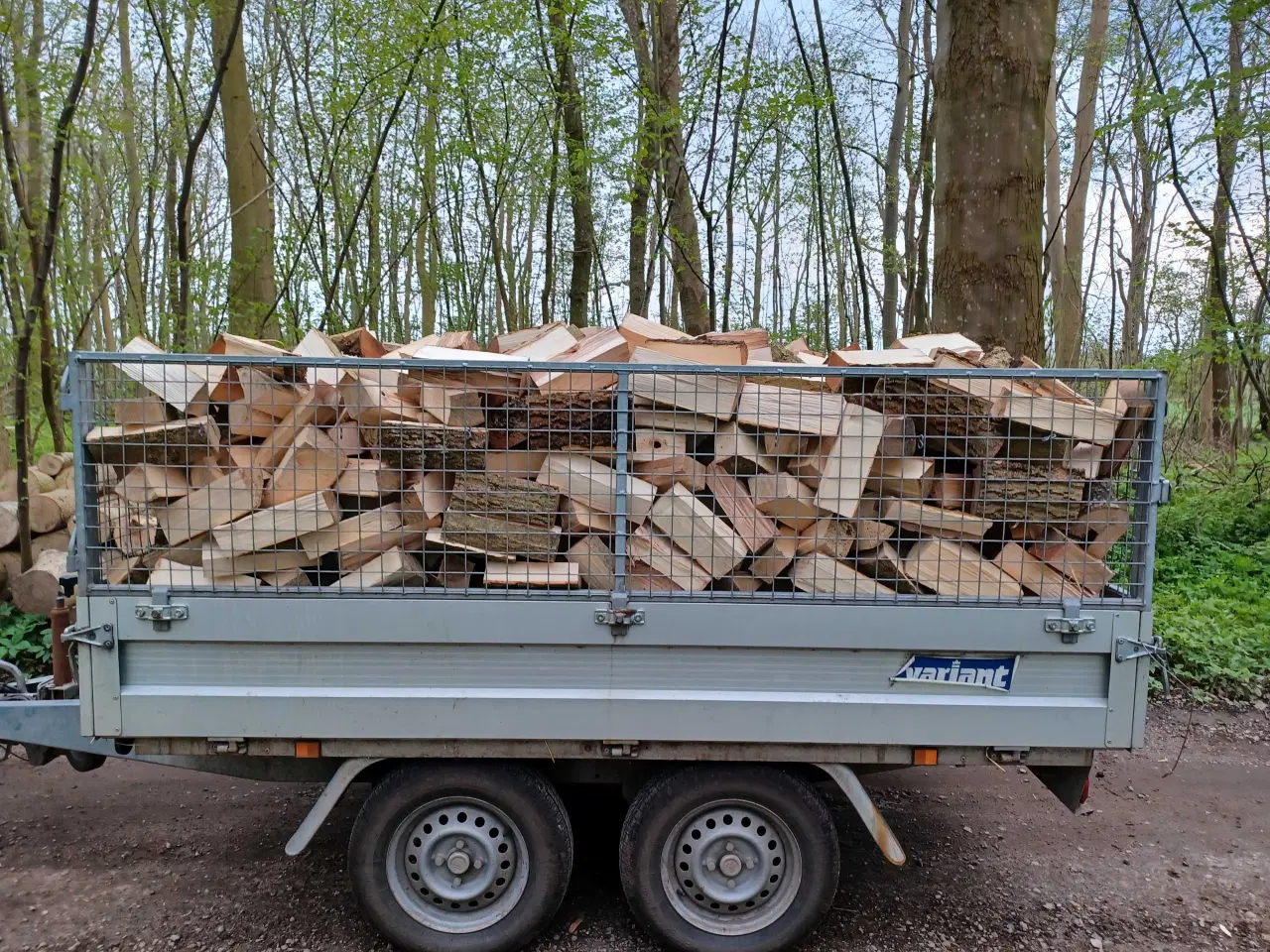 Billede 1 - Brænde af Asketræ