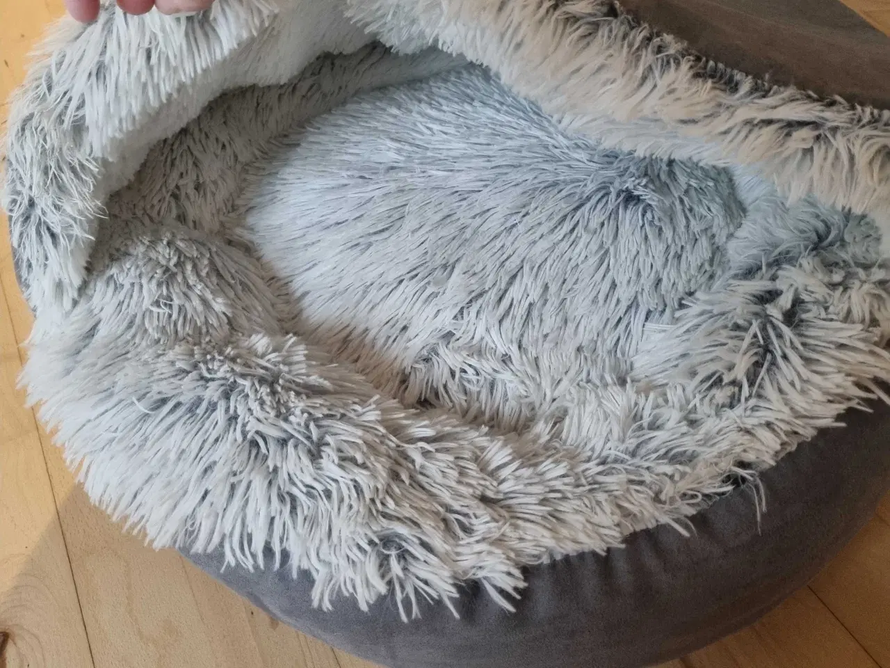 Billede 1 - Hundekurve