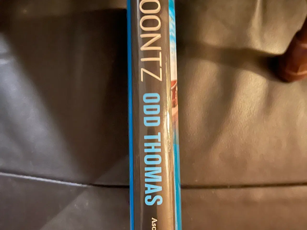 Billede 3 - Odd Thomas af Dean Koontz