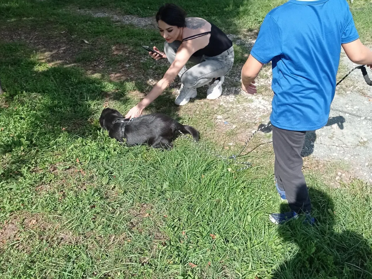 Billede 8 - Negra - steriliseret  ca 7 kg ..  