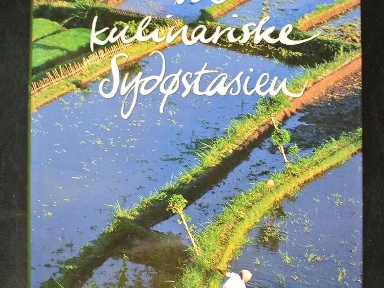 Billede 1 - det kulinariske sydøstasien, af joyce jue. madfoto