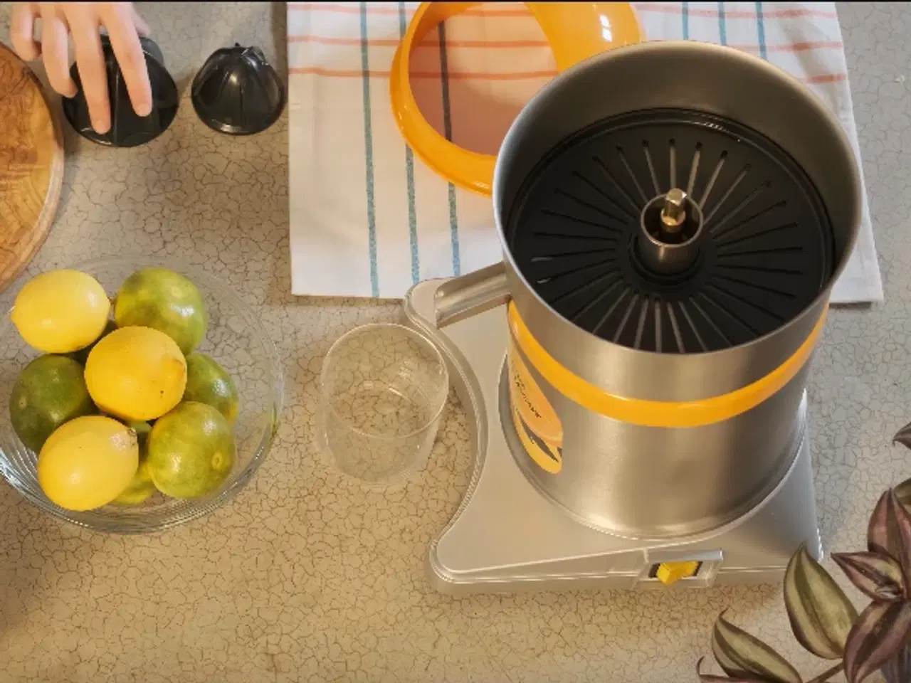 Billede 2 -  Luksus appelsinjuice maskine – 6 kg