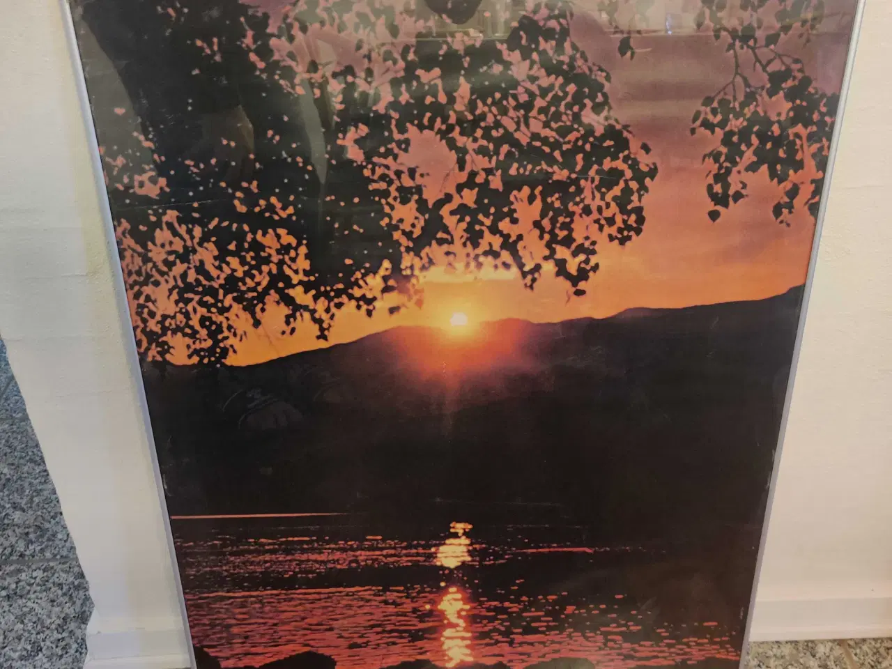 Billede 1 - Billede med solnedgang ved sø