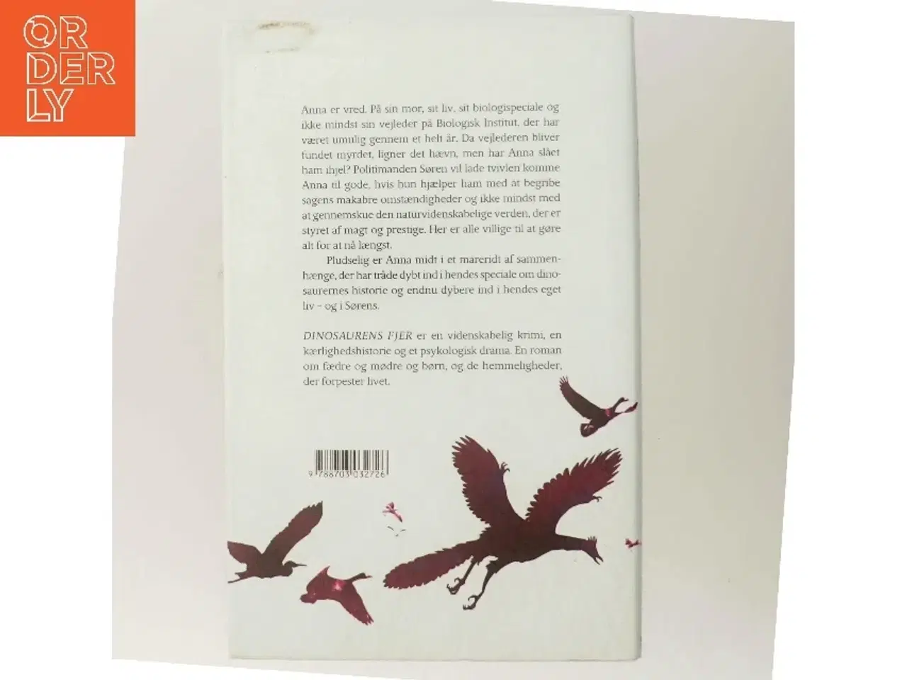 Billede 3 - Dinosaurens fjer