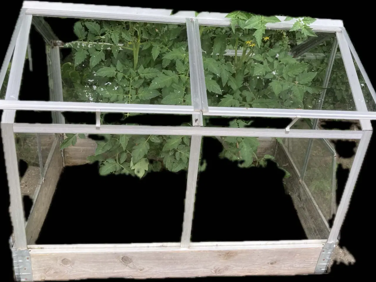 Billede 1 - Minidrivhus i glas med vinduer