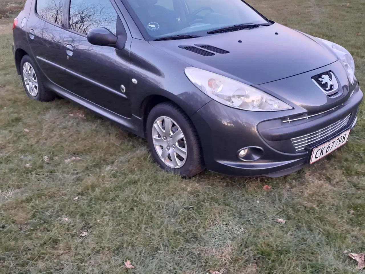 Billede 3 - Peugeot 206+Diesel