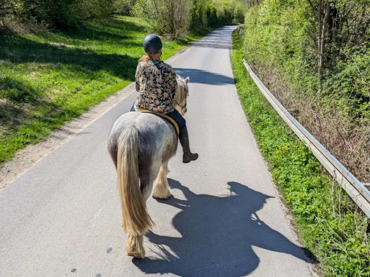 Billede 5 - Skøn dreng søger det rigtige hjem