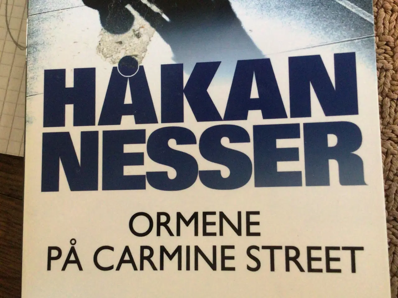 Billede 1 - Håkan Nesser : Ormene på Carmine Street