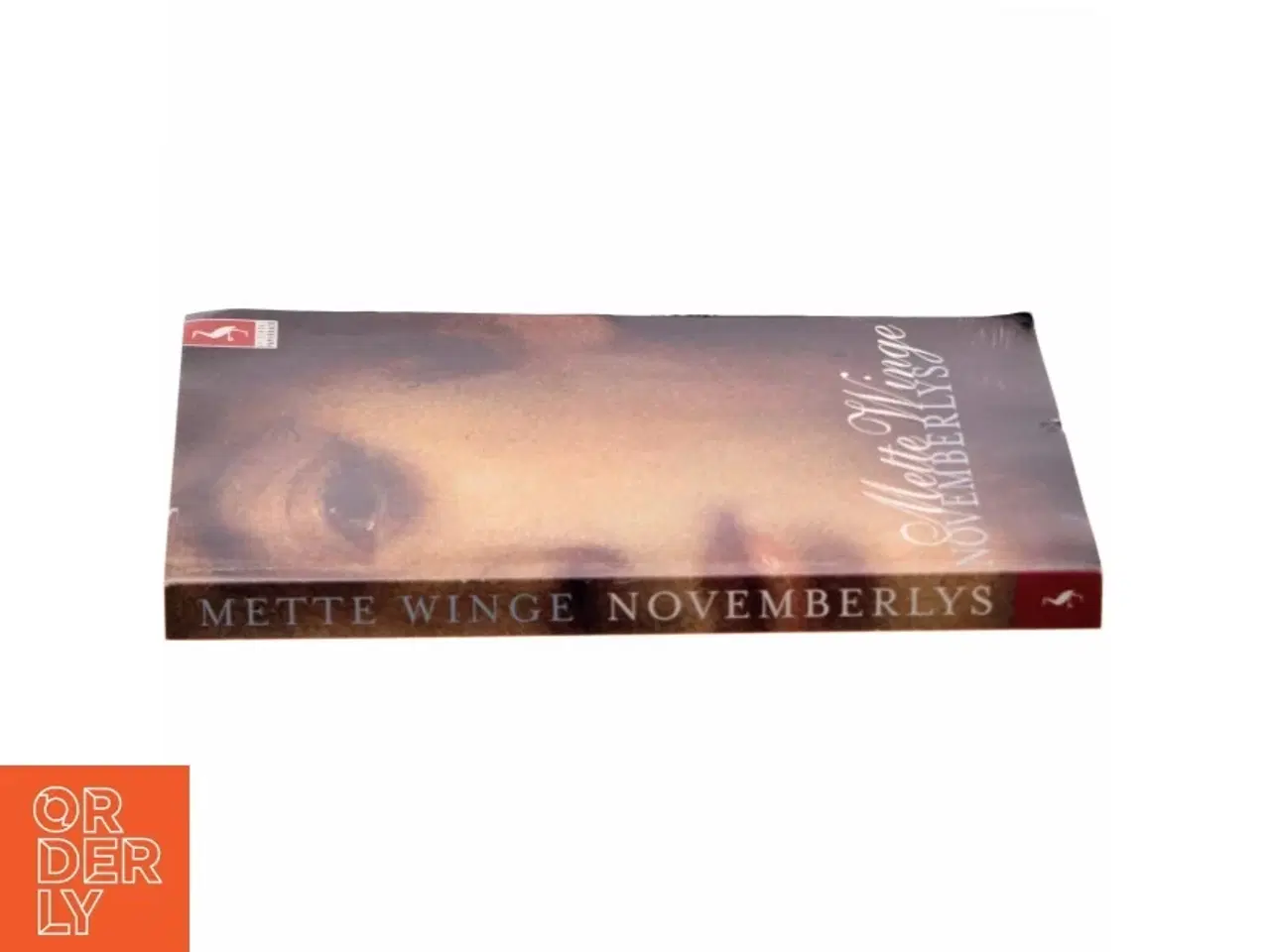Billede 2 - Novemberlys : en klunketidsroman af Mette Winge (Bog)