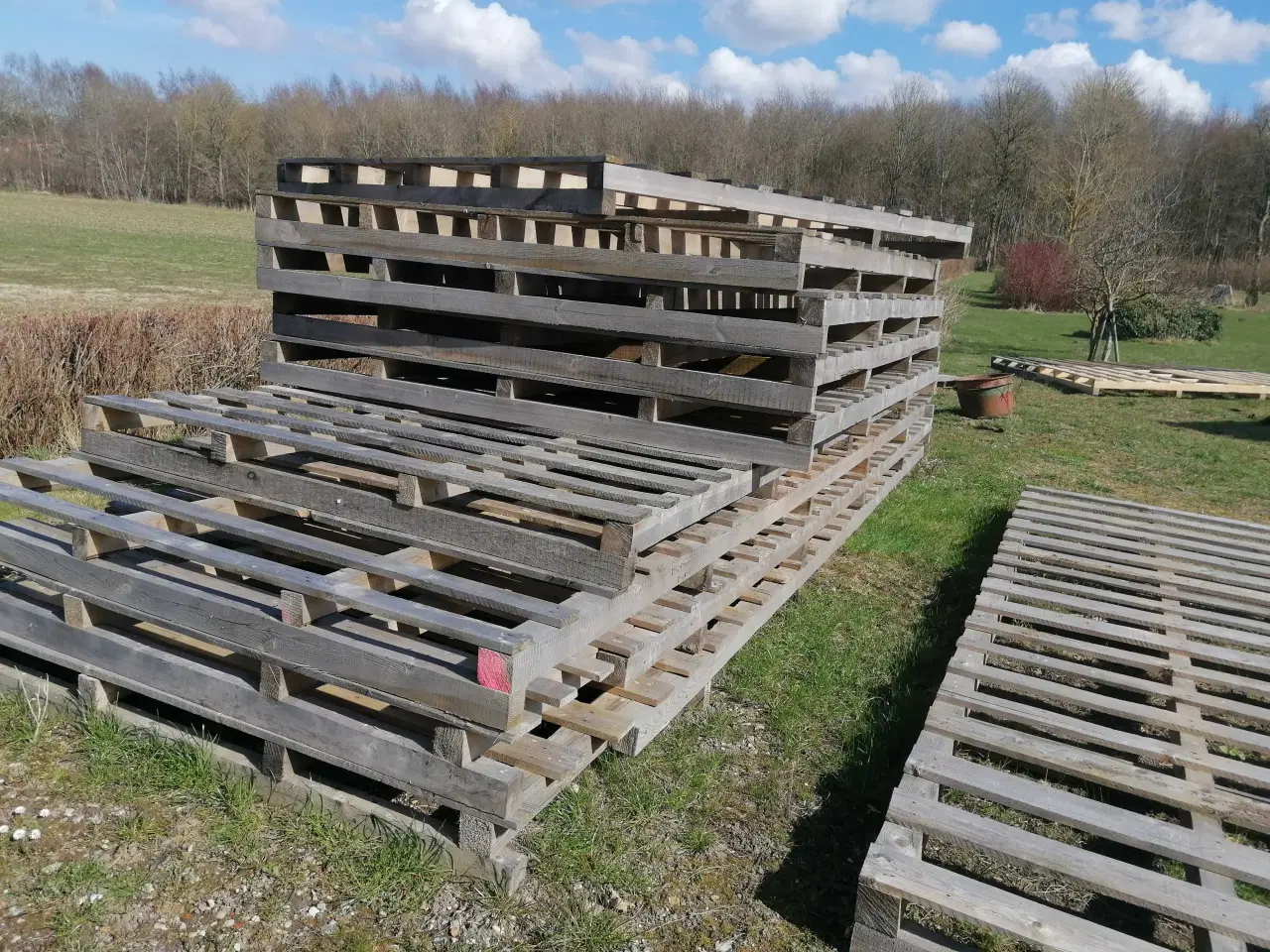 Billede 3 - Træelementer Store / Solide Stykpris fra 