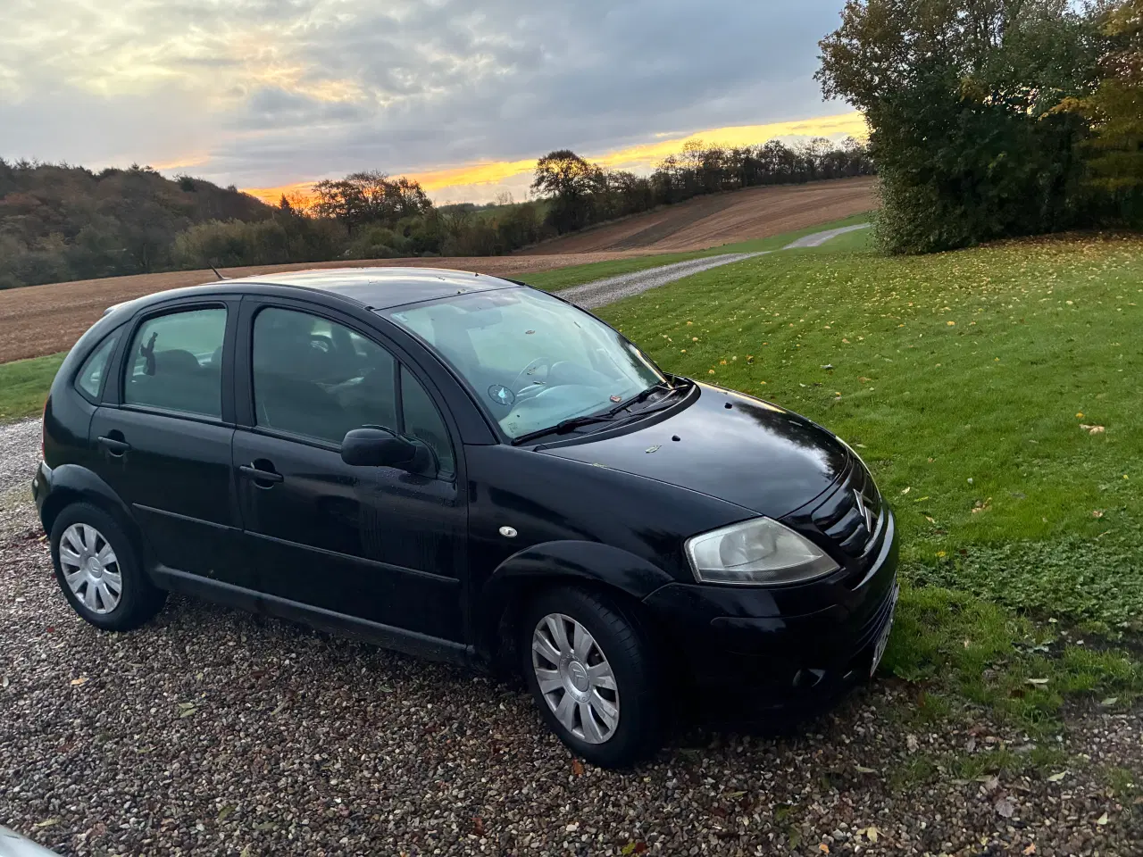 Billede 3 - Citroen c3