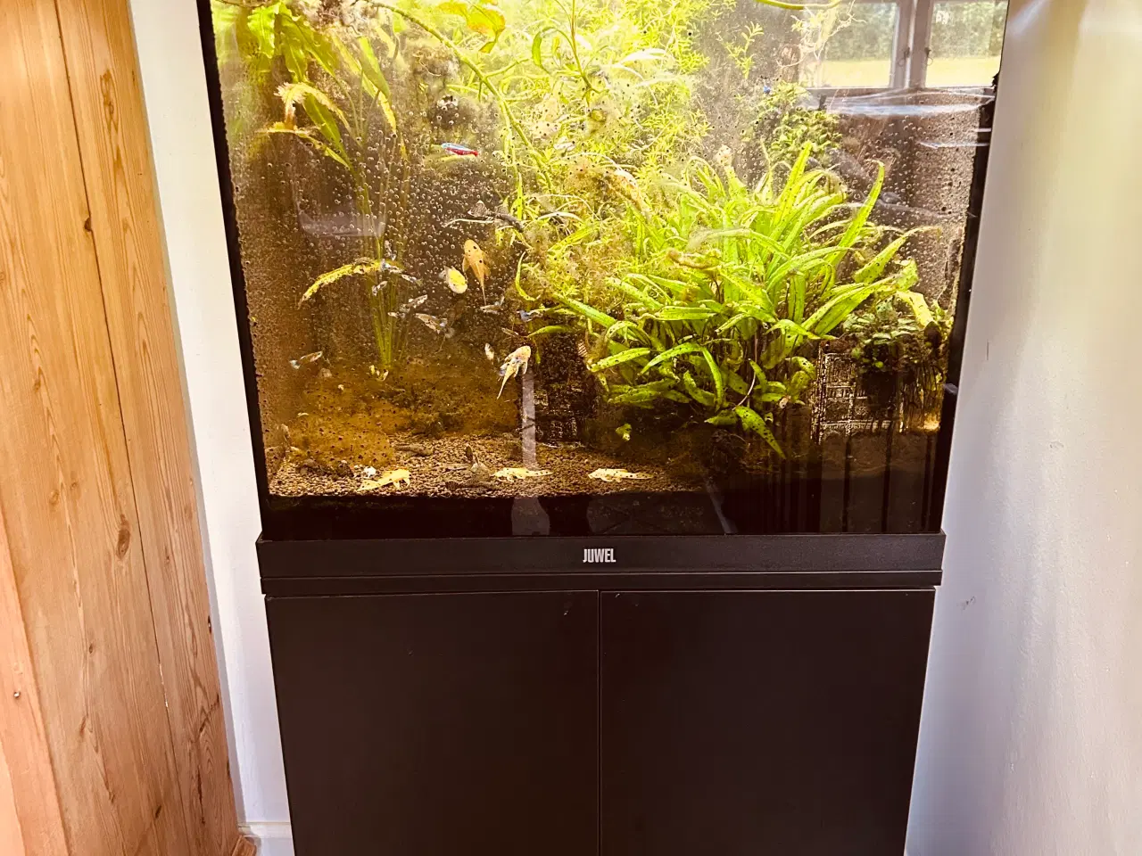 Billede 3 - Juwel lido akvarium 