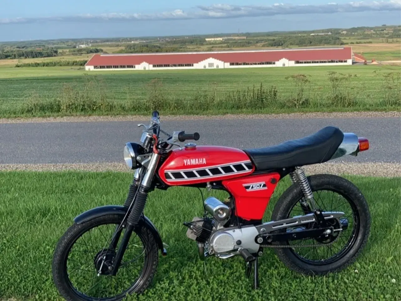 Billede 1 - Fornuftig Yamaha 4gear sælges