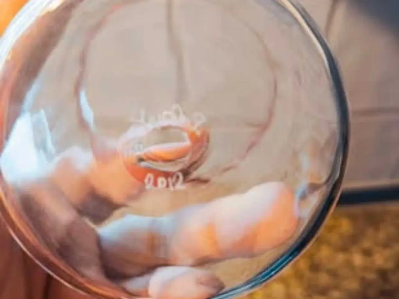 Billede 2 - Yerst glas - 1 stk. (Rød kant)