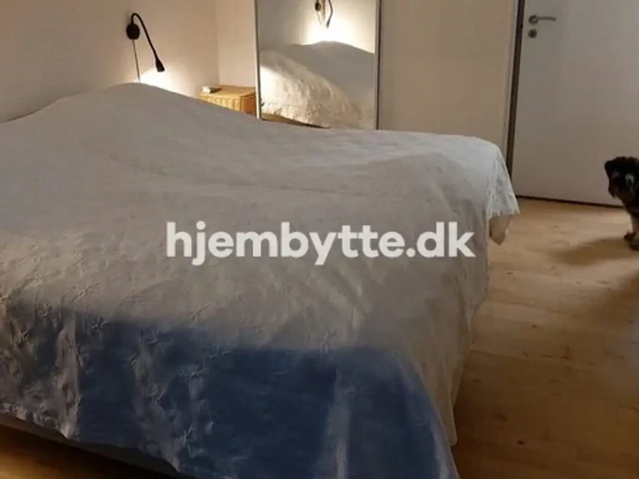 Billede 11 - Hjembytte - Muskathaven