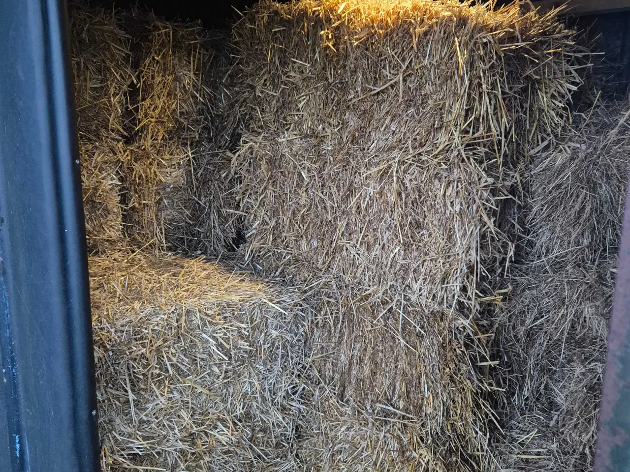 Billede 4 - Vår byg halm - Småballer