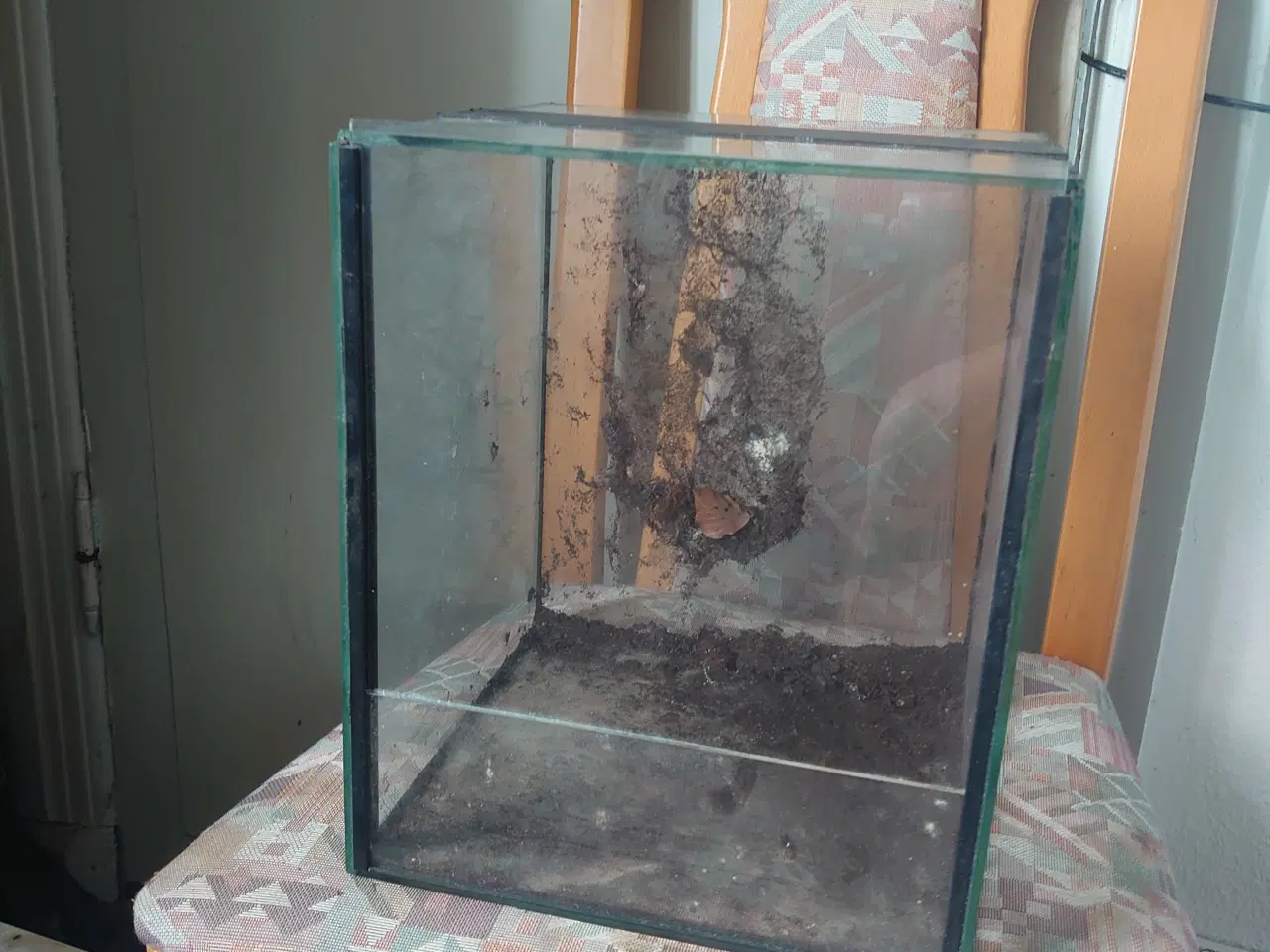 Billede 4 - Små Terrarium 