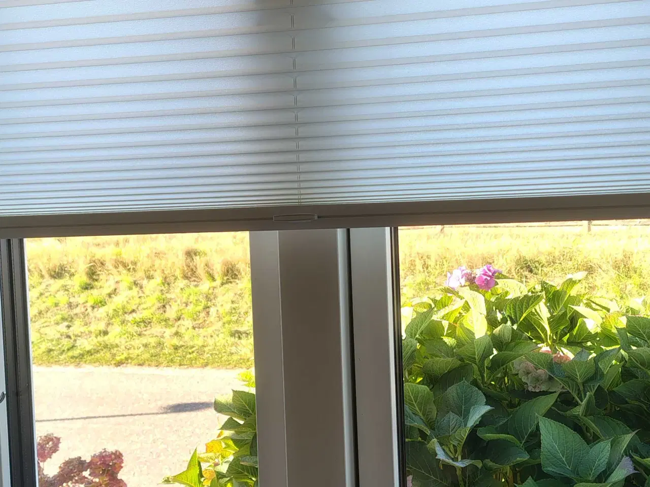 Billede 1 - Plisségardin fra Luxaflex