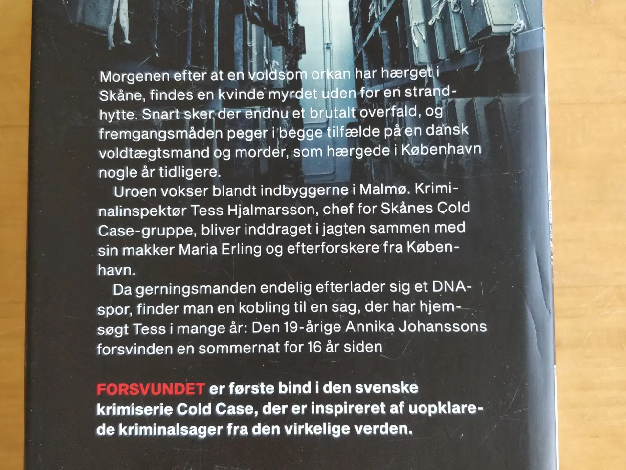 Billede 4 - Cold Case: Forsvundet, Tina Frennstedt 