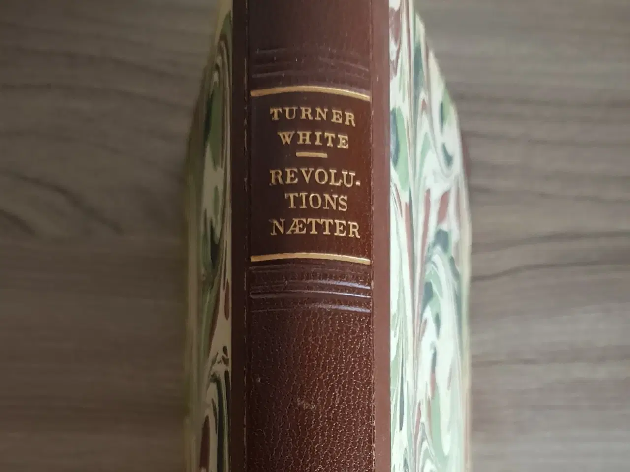 Billede 2 - Leslie Turner White: Revolutionsnætter