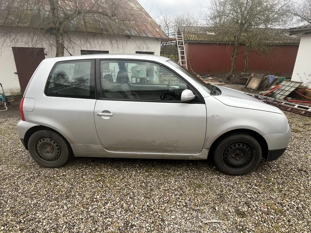 Billede 2 - Gammel Lupo 