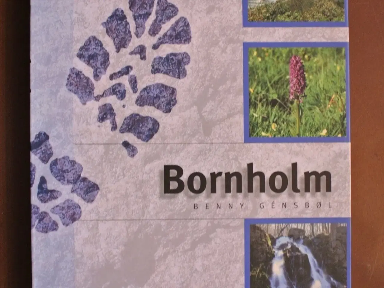 Billede 1 - bornholm - naturguide, af benny gensbøl