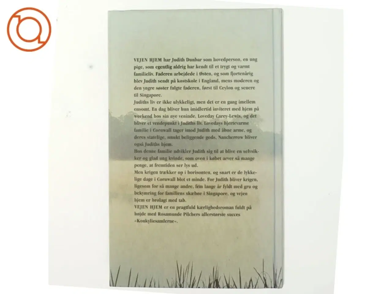 Billede 3 - Vejen Hjem af Rosamunde Pilcher