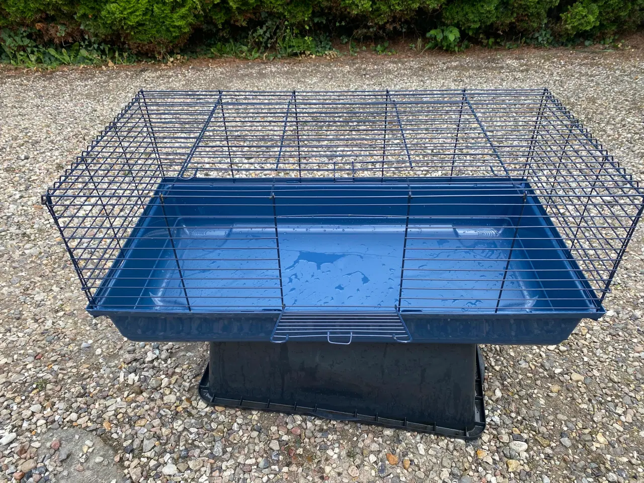 Billede 1 - Marsvin / Hamster  Bur 
