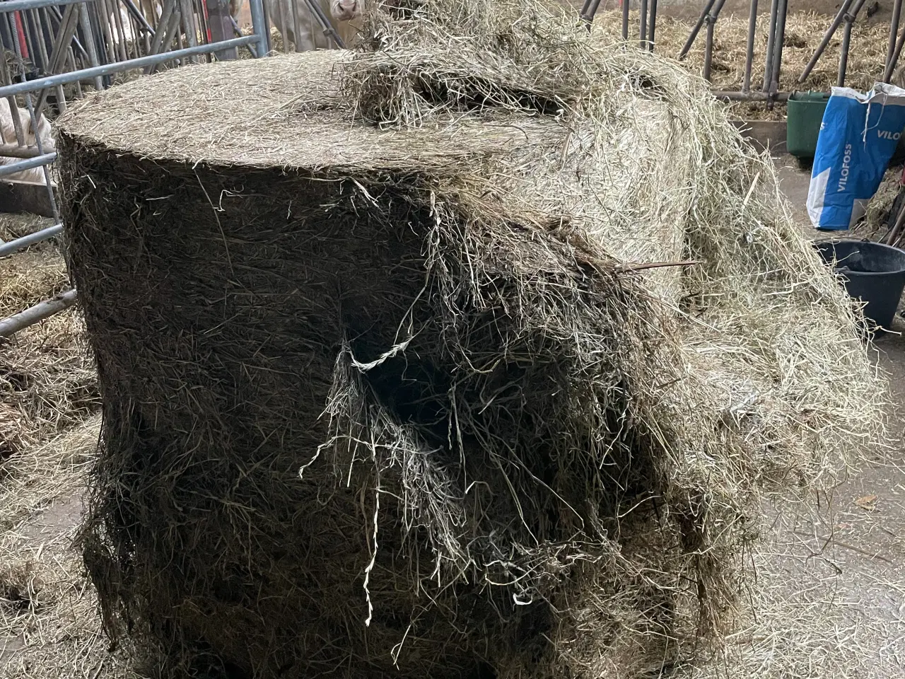 Billede 2 - Wrap 2025 velegnet til køer 