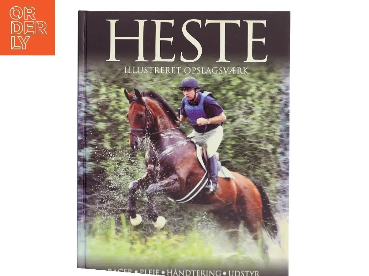 Billede 1 - Heste - illustreret opslagsværk af Lin Esposito (Bog)