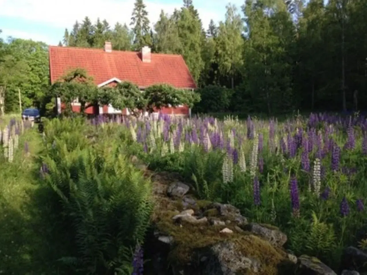 Billede 2 - Ødegård i fredelige omgivelser - Blekinge