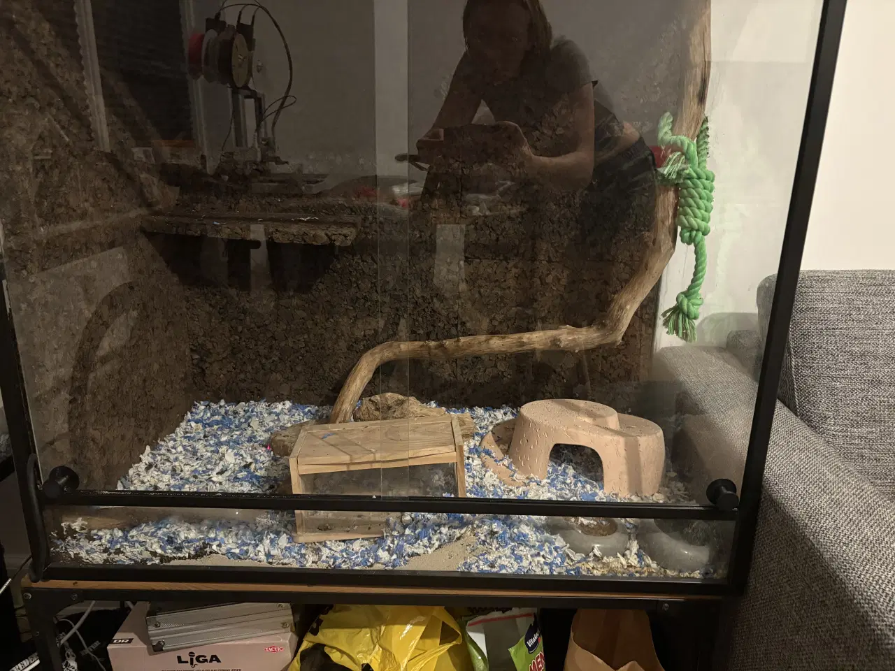 Billede 1 - Børstesvin med bur