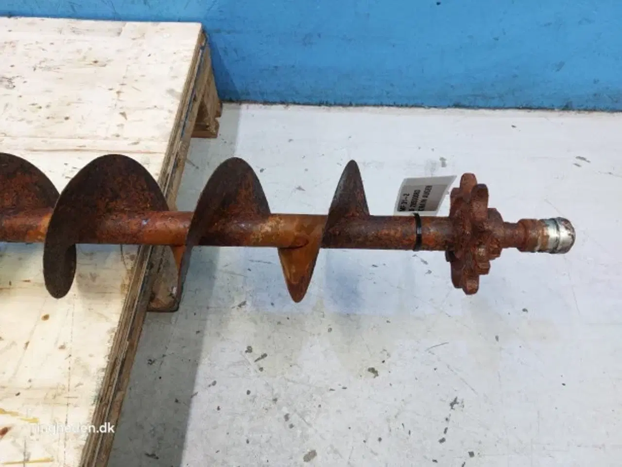 Billede 5 - Massey Ferguson 31 Fyldesnegl 28550083