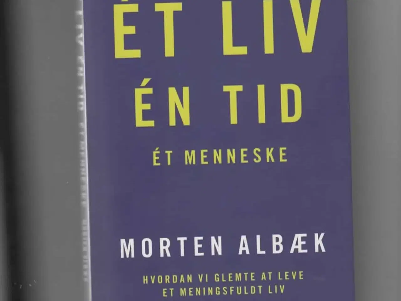 Billede 1 - Et meningsfuldt liv