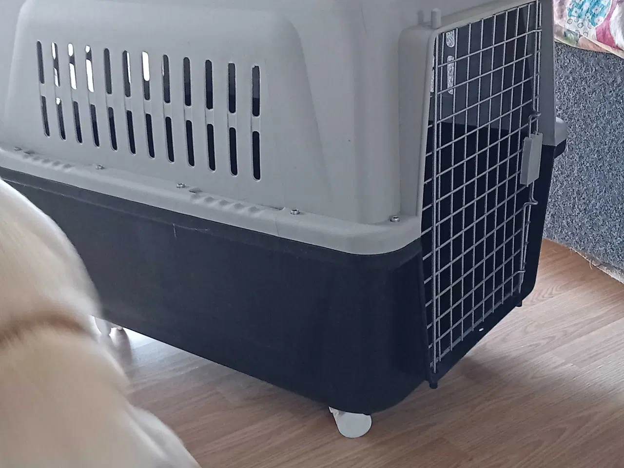 Billede 2 - Transportkasse til mellemstor hund