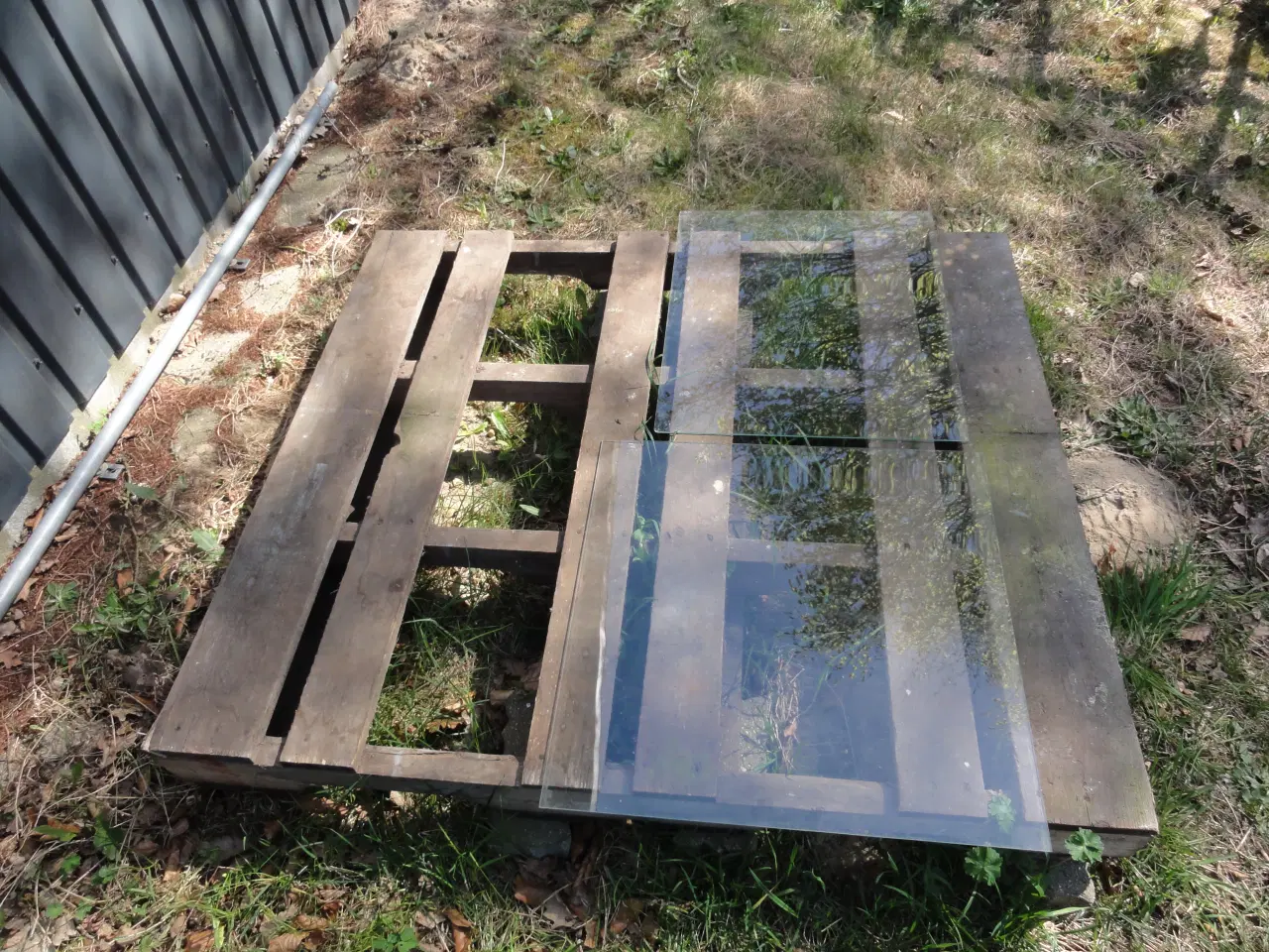 Billede 2 - Drivhus glas til Halls Magnum 148