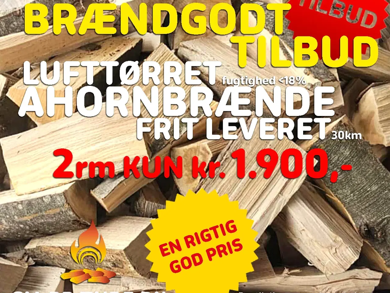 Billede 1 - 2 RM. Ahorn Brænde