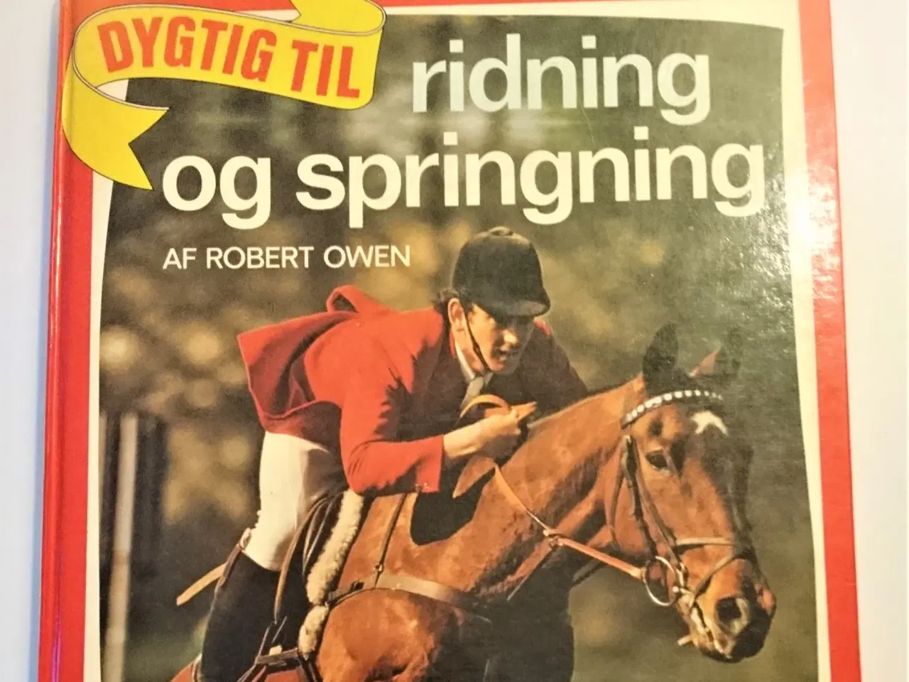 Billede 1 - Dygtig til ridning og springning af Robert Owen