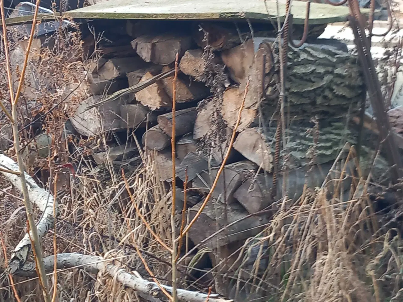 Billede 1 - Brænde, billigt