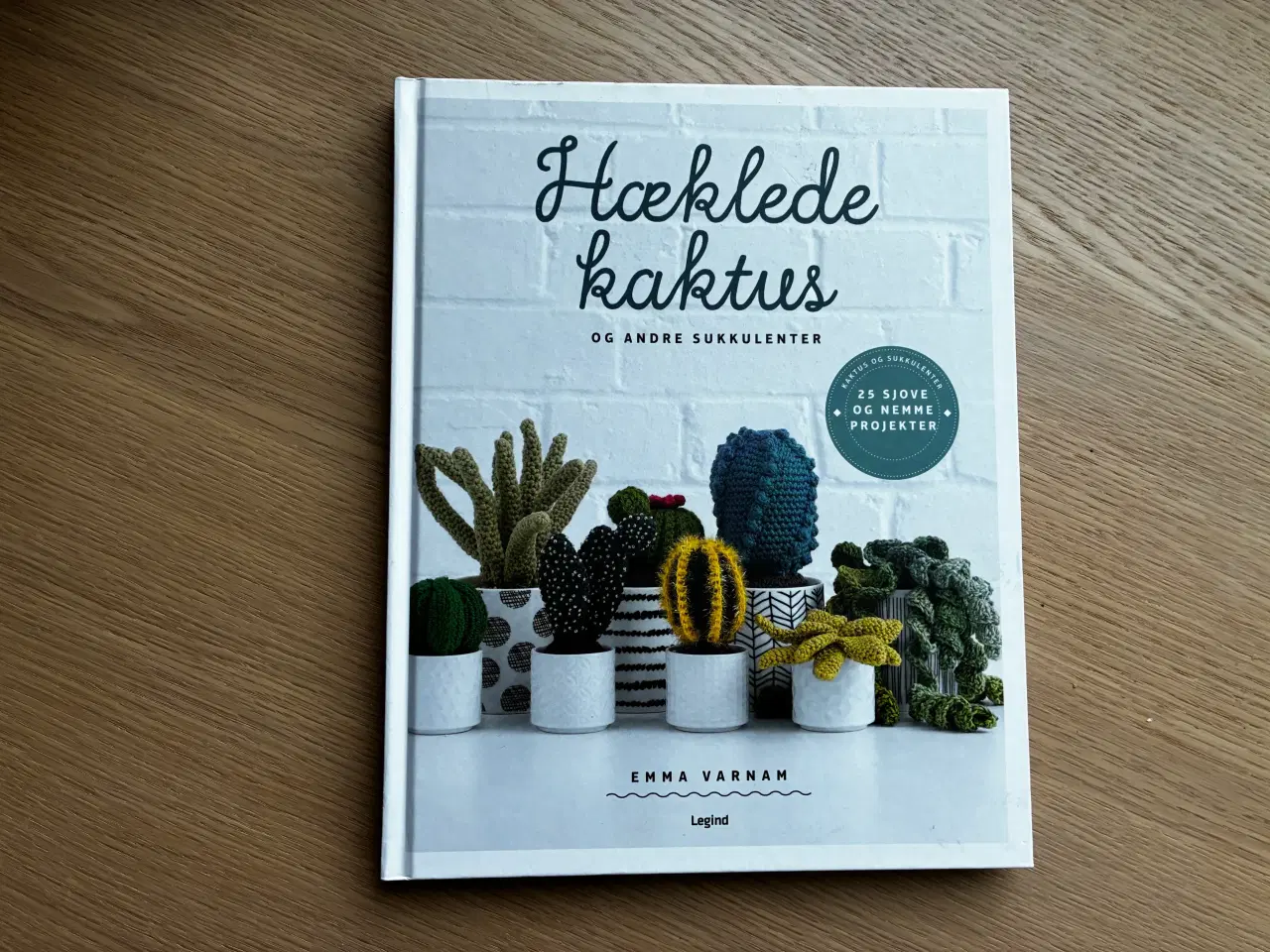 Billede 1 - Hæklede kaktus og andre sukkulenter