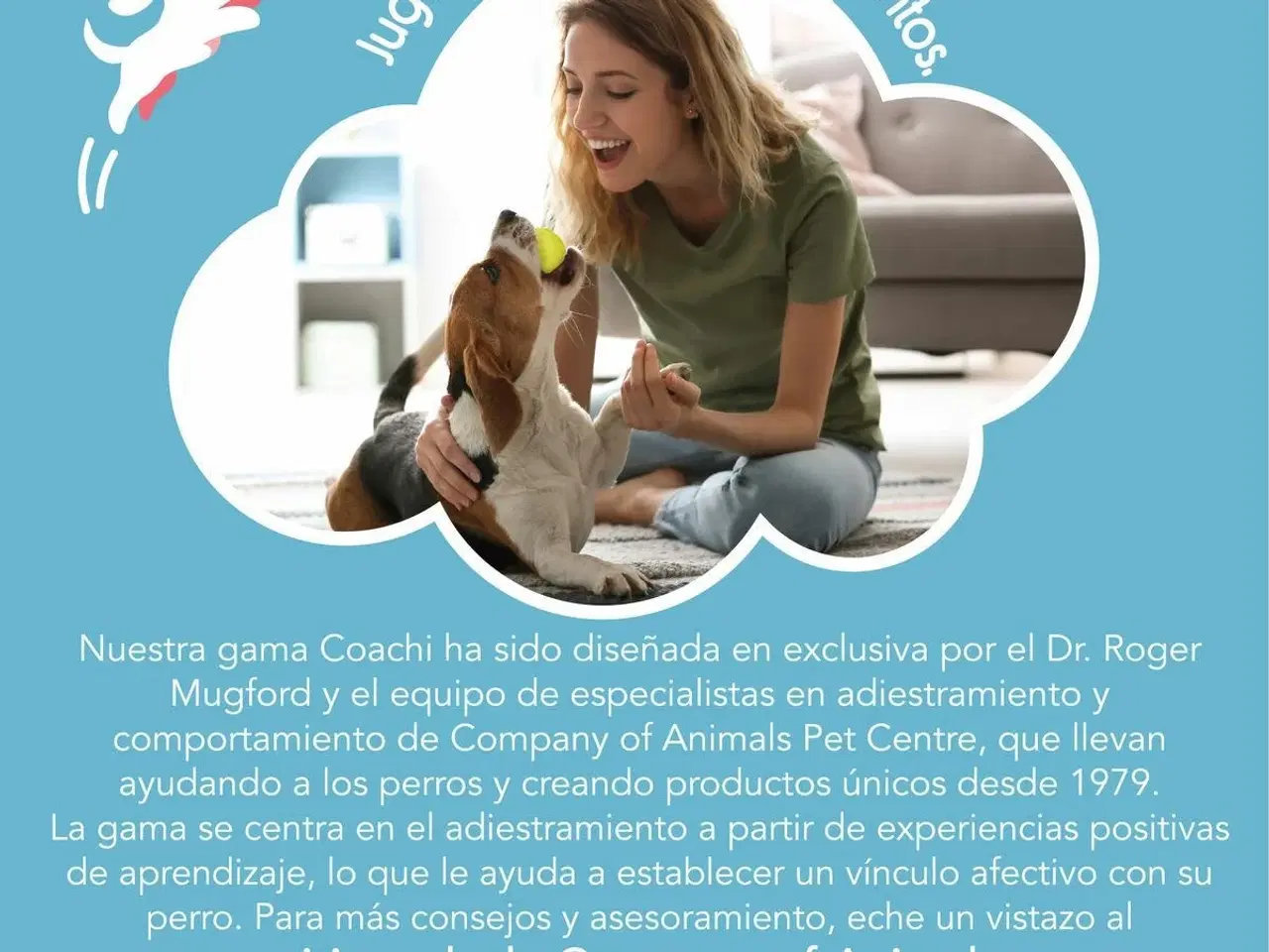 Billede 2 - Coachi Training Toy Stick - Blå hundetræningslegetøj