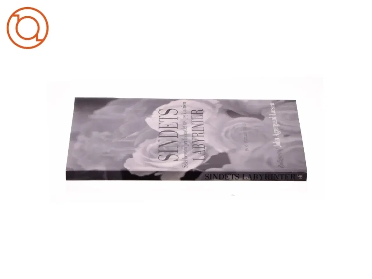 Billede 3 - Sindets labyrinter af John Aggergaard Larsen (Bog)