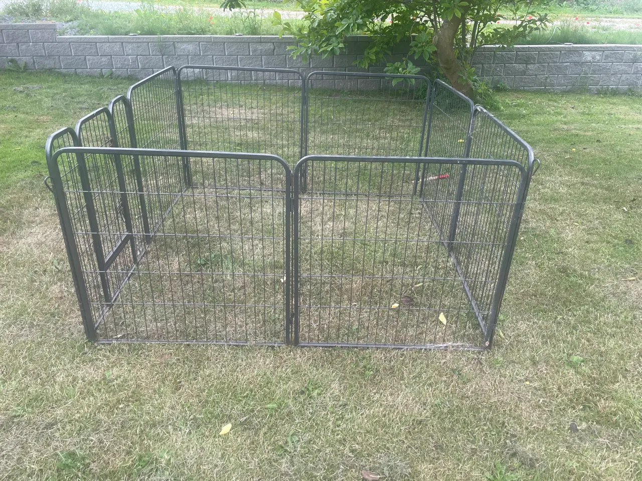 Billede 2 - Hvalpegård, 158x158 cm højde 82cm.