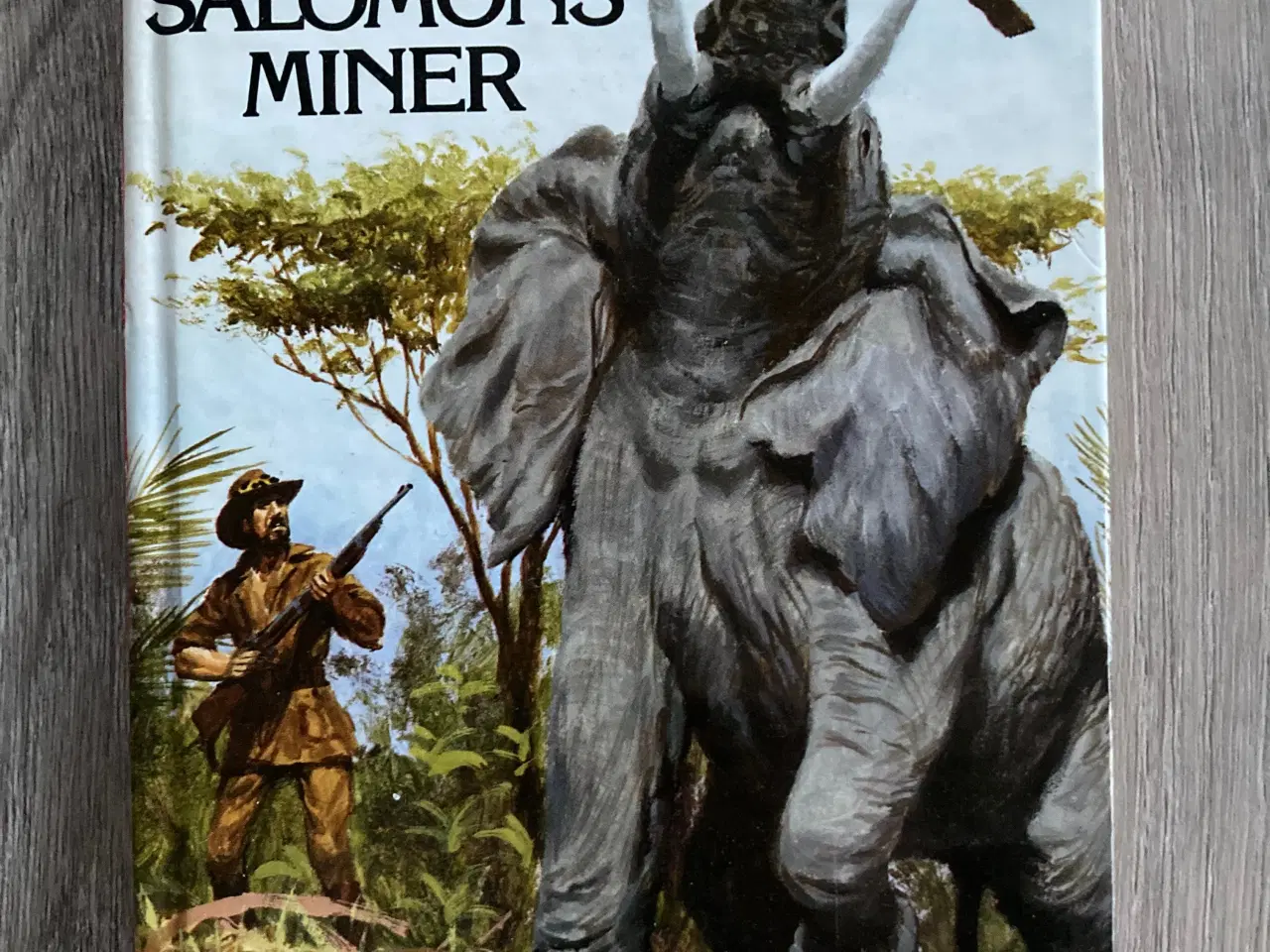 Billede 1 - Bog: Kong Salomons miner af H. Rider Haggard