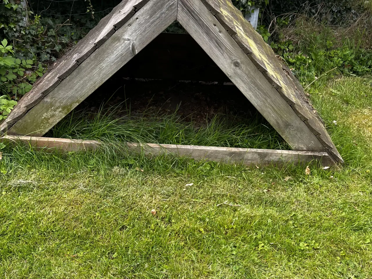 Billede 2 - Lille hundehus til haven