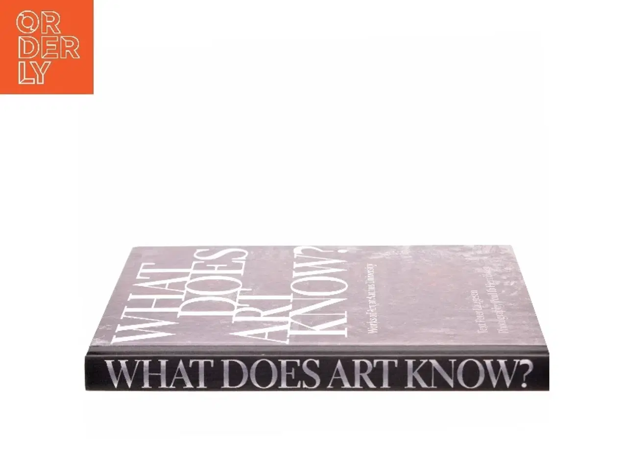 Billede 2 - What Does Art Know? af Peter Laugesen (Bog)