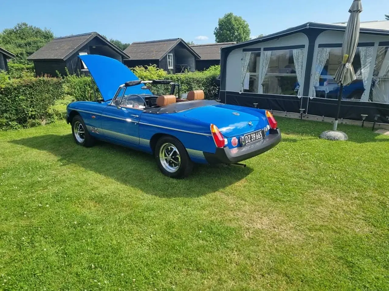 Billede 6 - mgb rooster