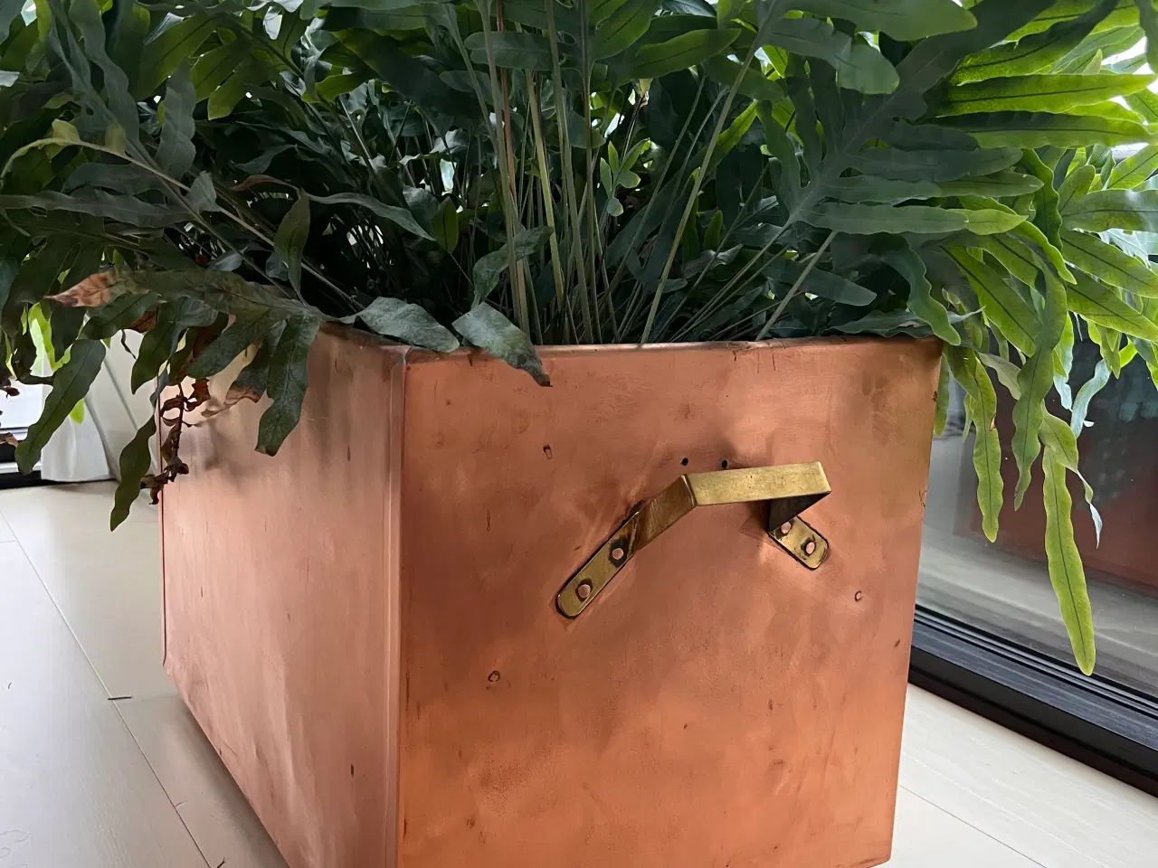 Billede 1 - Smuk bronze kasse med plante